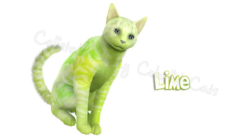 jelly cat lime